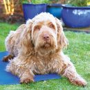 Rosewood Pet Cool Mat