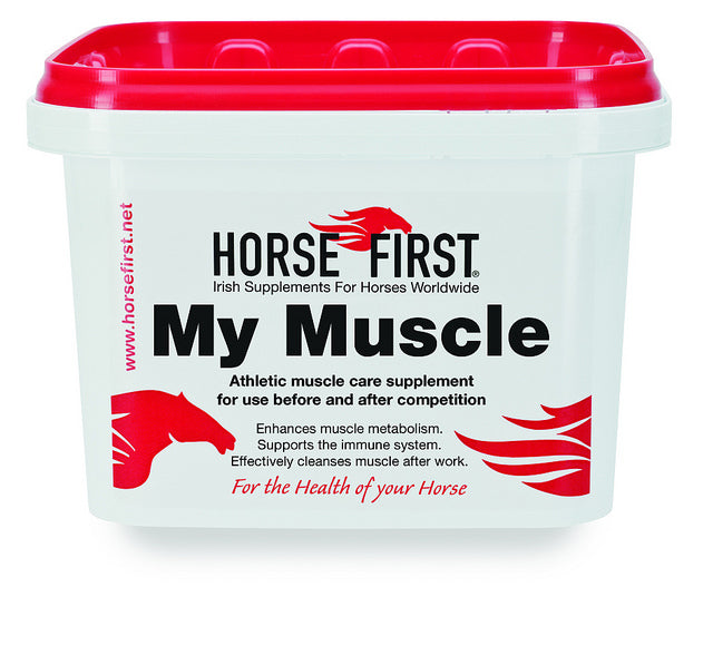 Horse First My Muscle