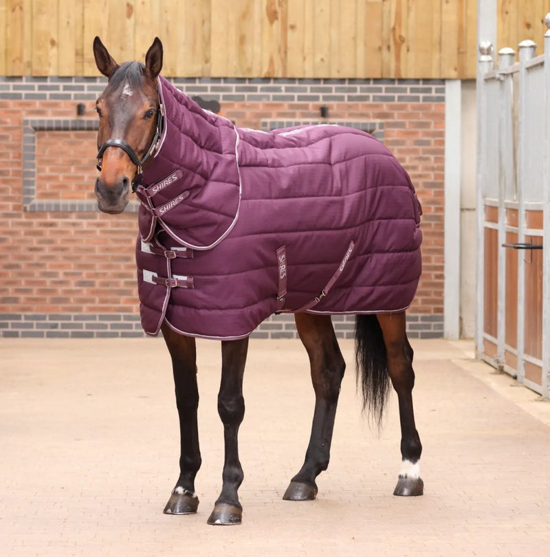 Shires Tempest Original 300 Stable Combo