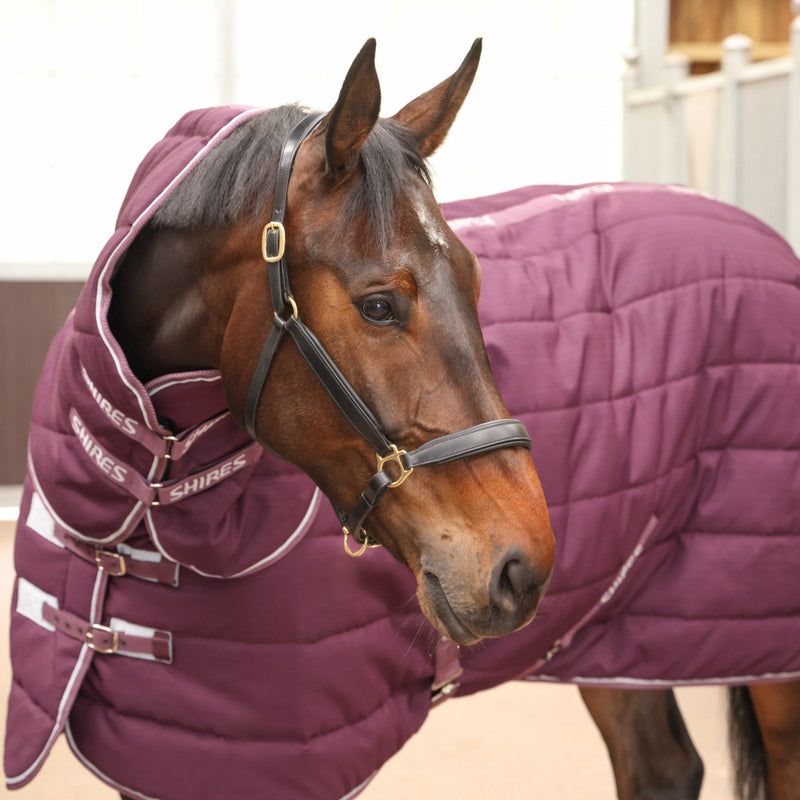 Shires Tempest Original 300 Stable Combo