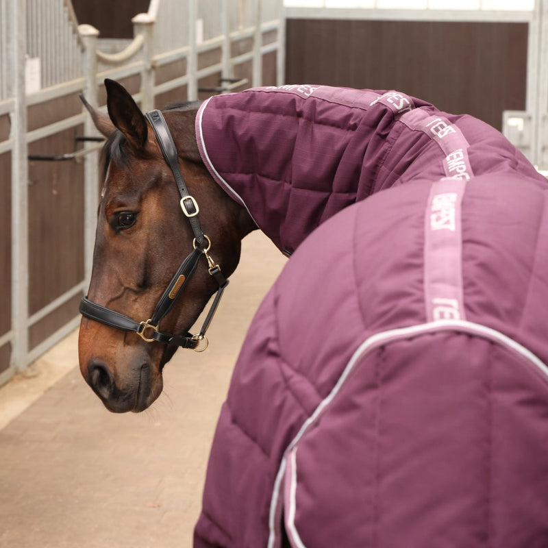 Shires Tempest Original 300 Stable Combo