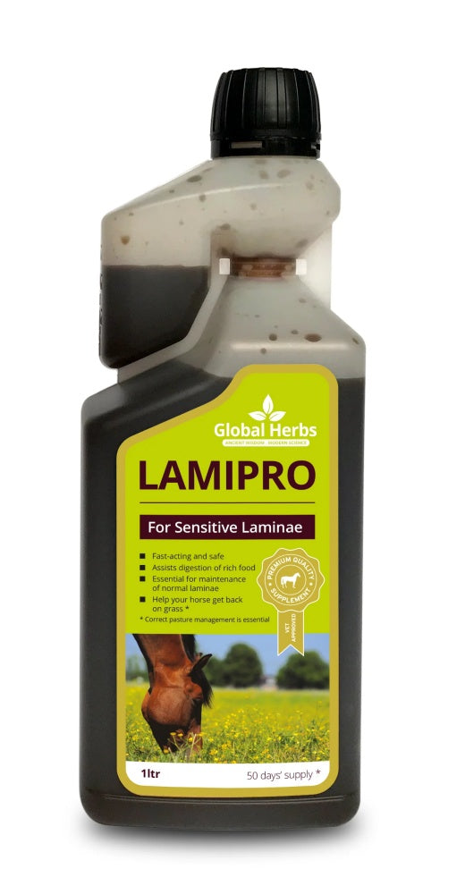 Global Herbs LamiPro Supplement - 10% OFF