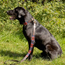 Benji & Flo Sublime Polo Leather Dog Lead
