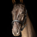 ProPresicce Softy Leather Headcollar by Hy Equestrian