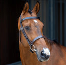 Velociti LUSSO Hunter Cavesson Bridle