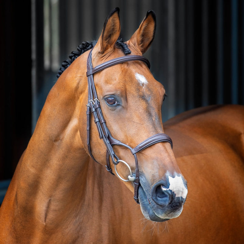 Velociti LUSSO Rolled Padded Cavesson Bridle