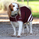 Digby & Fox Waterproof Dog Coat