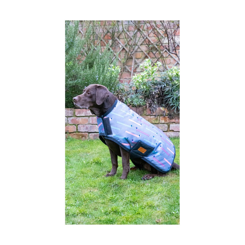 Benji & Flo Dorris the Dachshund Waterproof Dog Coat