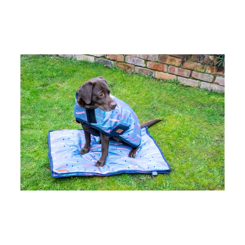 Benji & Flo Dorris the Dachshund Waterproof Dog Coat