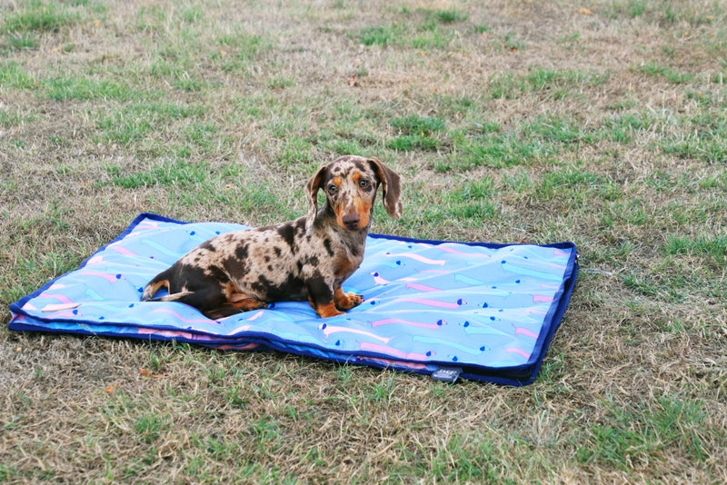 Benji & Flo Dorris The Dachshund Dog Bed