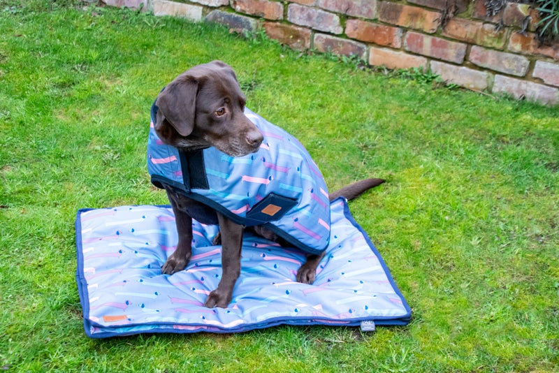 Benji & Flo Dorris The Dachshund Dog Bed