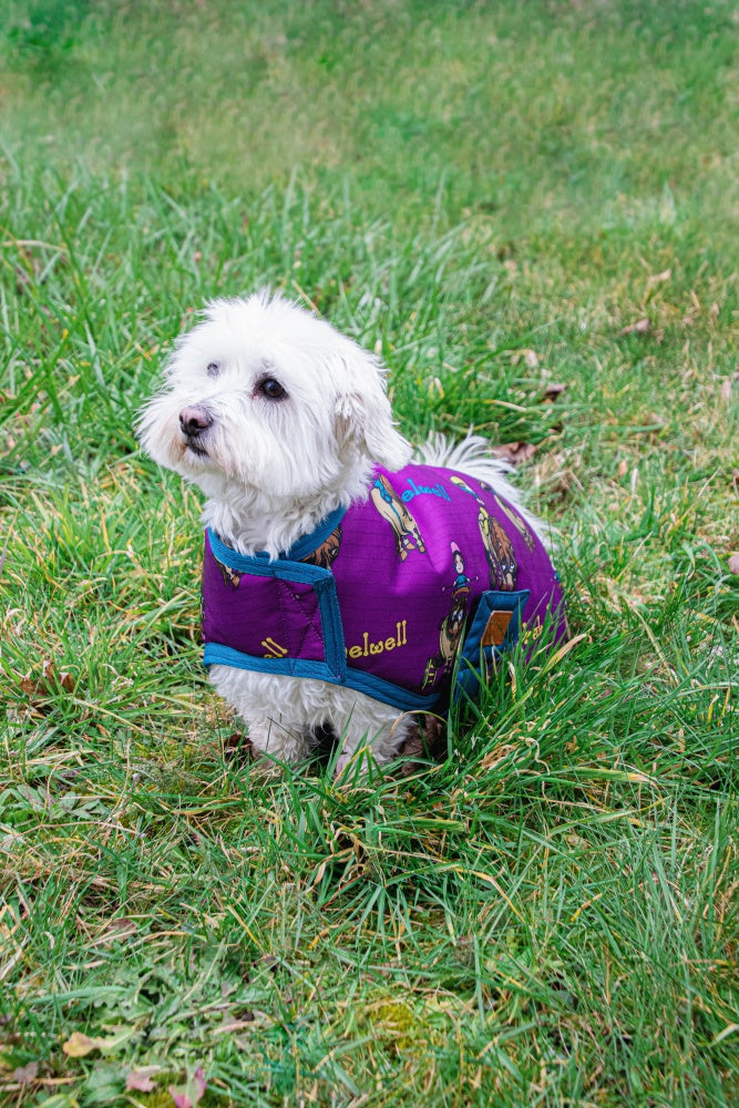 Benji & Flo Thelwell Collection Pony Friends Dog Coat