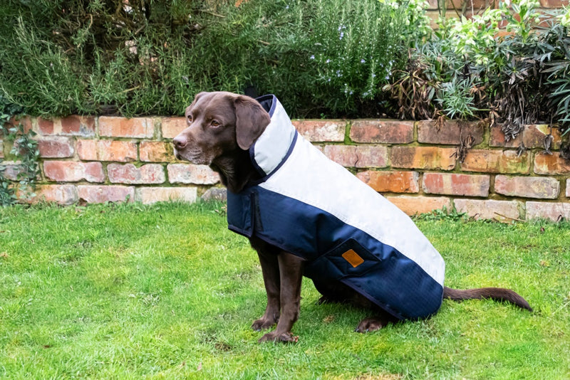 Benji & Flo Waterproof Dog Coat