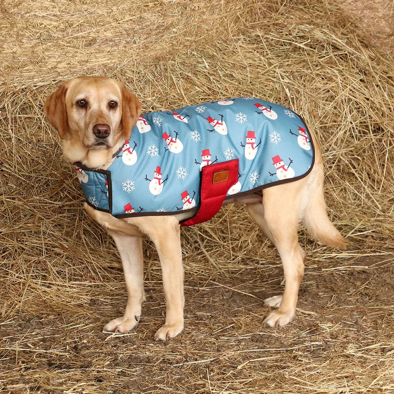 Benji & Flo Snowy the Snowman Dog Coat