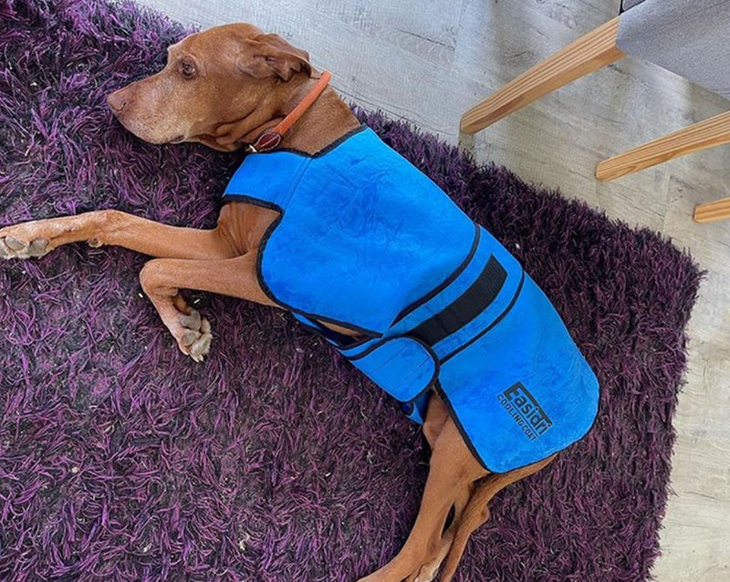 EasiDry Cooling Dog Coat