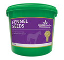 Global Herbs Fennel Seeds  -   UPTO 10% OFF