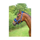 Hy Equestrian Dazzle Headcollar