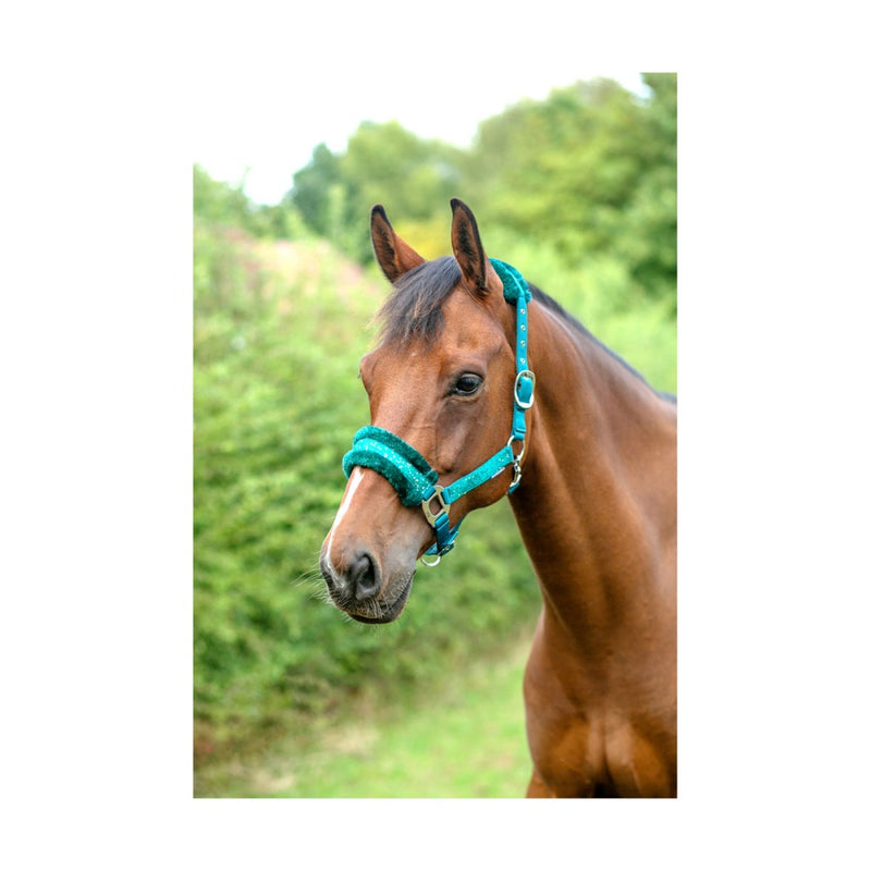 Hy Equestrian Dazzle Headcollar