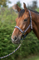 Hy Equestrian Woven Polo Head Collar and Lead Rope