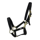 Hy Equestrian Fieldsafe Foal & Small Pony Headcollar