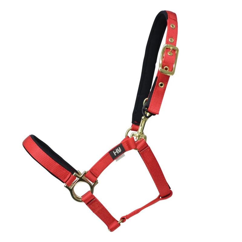 Hy Equestrian Fieldsafe Foal & Small Pony Headcollar