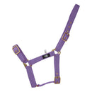 Hy Holly Fully Adjustable Headcollar