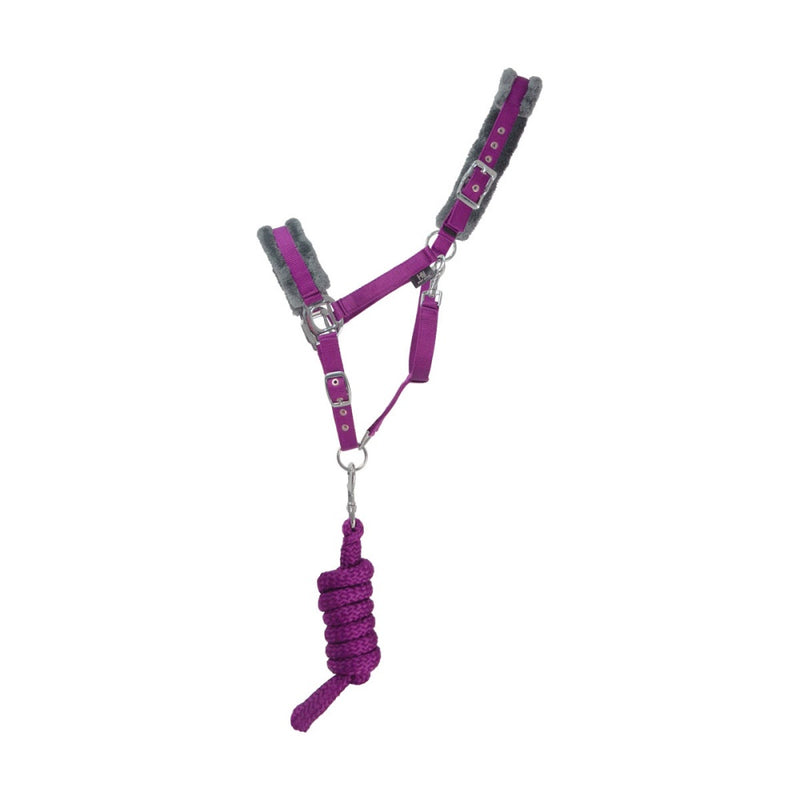 Hy Sport Active Head Collar & Lead Rope