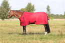 HyCONIC 50g Turnout Rug