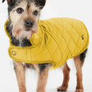 Joules Quilted Dog Coat