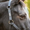 Equilibrium Stellar Headcollar