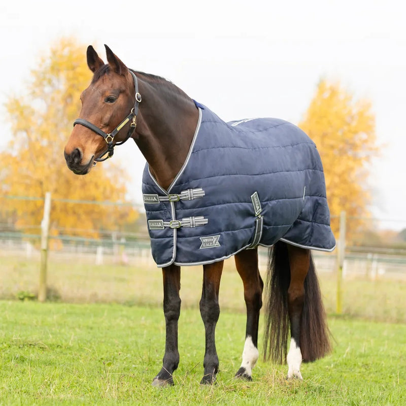 StormX Empra 100g Stable Rug