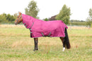 Hy StormX Empra 200g Combi Turnout Rug