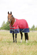 Hy StormX Empra 200g DETACHABLE NECK Turnout Rug