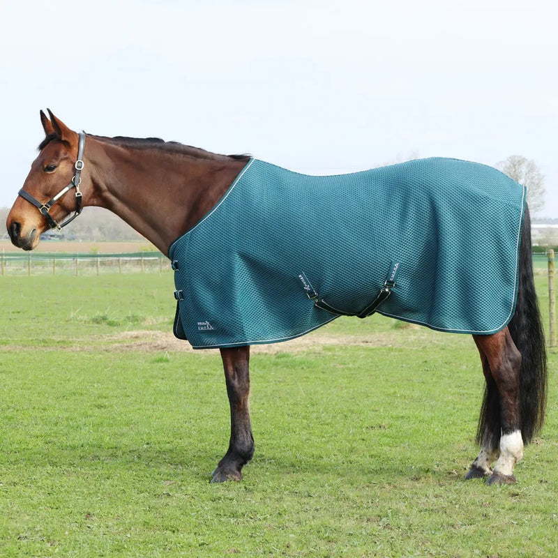 Hy StormX Empra AirFlex 3D Rug