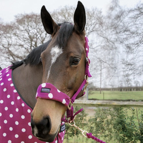 Supreme Products Dotty Fleece Headcollar & Lead Rope