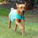 Supreme Products Dotty Fleece Dog Coat