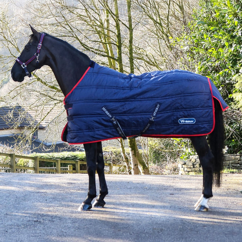 Whitaker Rastrick V2 Standard Neck Stable Rug 100g