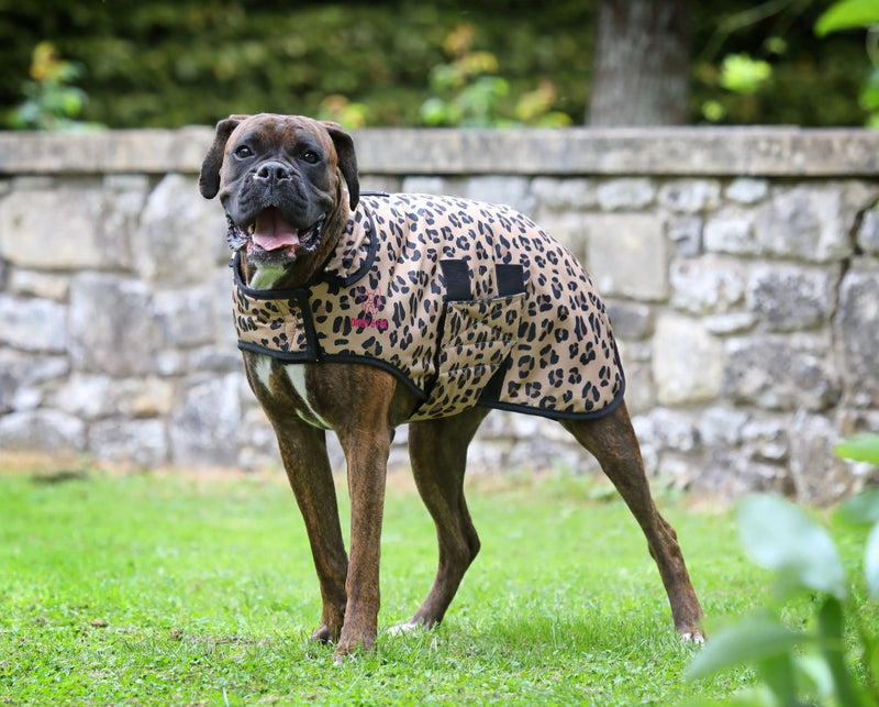 Digby & Fox Leopard Dog Coat