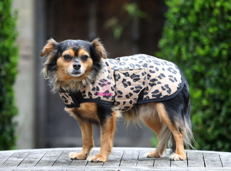 Digby & Fox Leopard Dog Coat