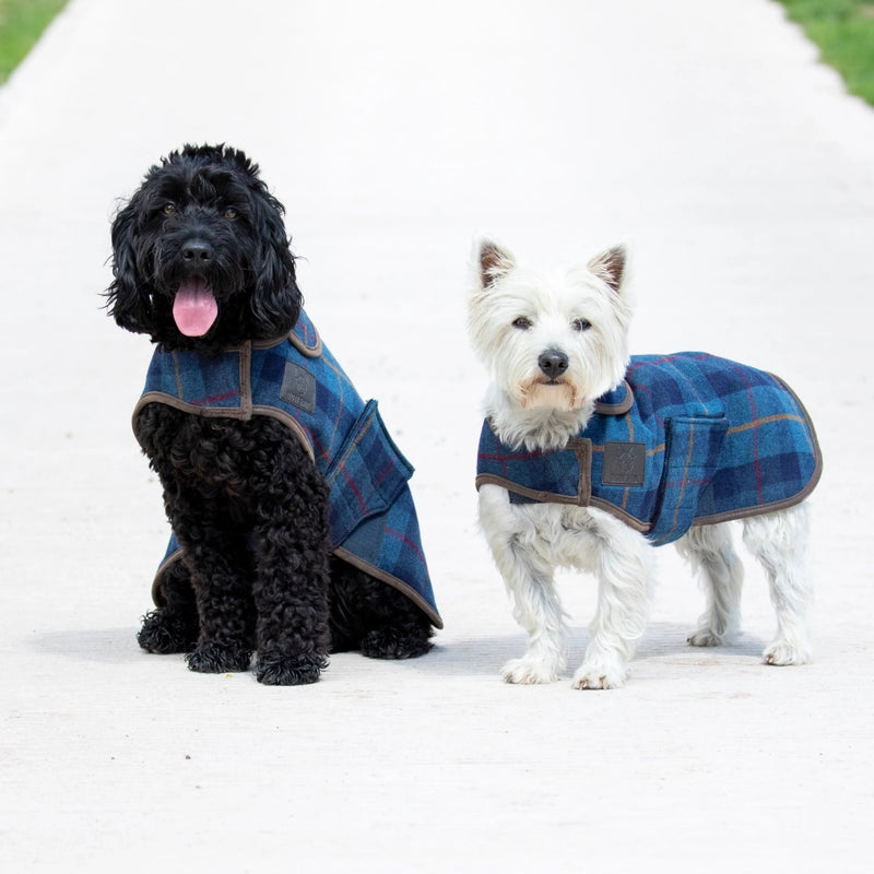 Digby & Fox Dog Tweed Dog Coat