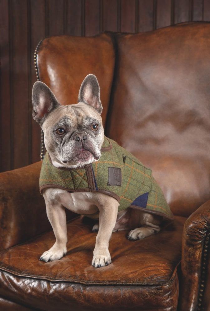 Digby & Fox Dog Tweed Dog Coat