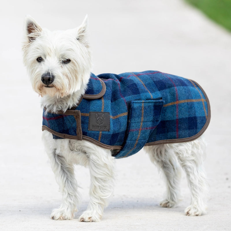 Digby & Fox Dog Tweed Dog Coat