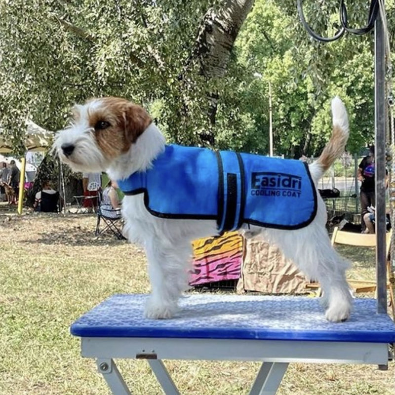 EasiDry Cooling Dog Coat