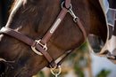 Equilibrium Stellar Headcollar