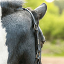 Equilibrium Stellar Headcollar
