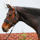 Equilibrium Stellar Style Headcollar