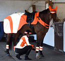 Equisafety Mercury High Visibility Exercise Rug
