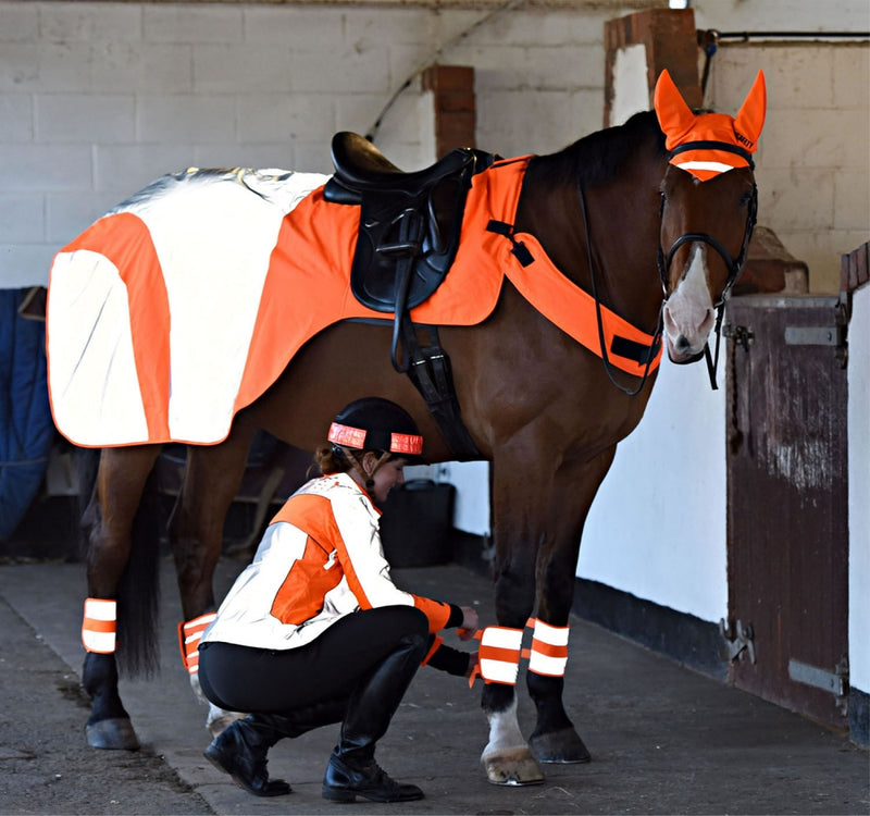 Equisafety Mercury High Visibility Exercise Sheet
