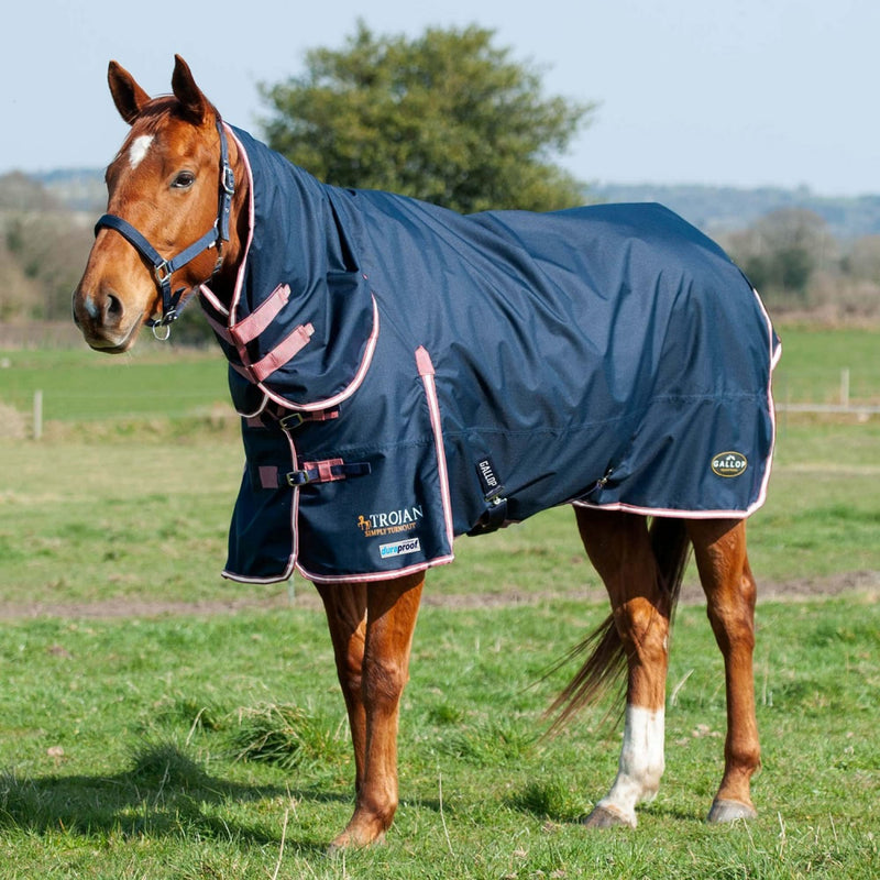 Gallop 50g Trojan Duraproof Turnout Combo