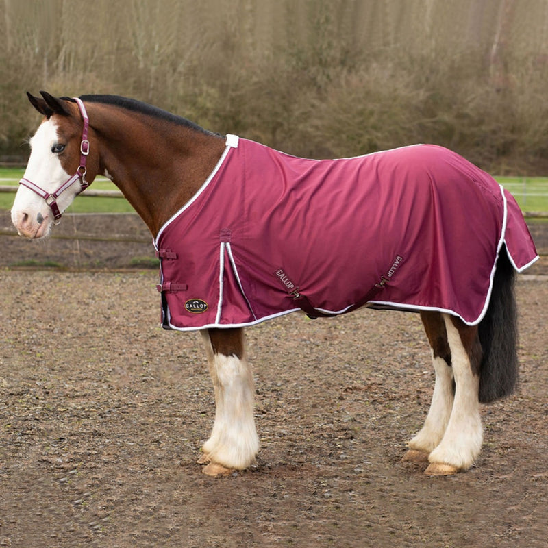 Gallop Summer Sheet